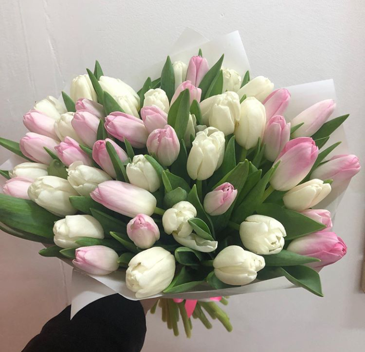 Тюльпаны 51шт 3300р Тюльпаны 51шт 3300р