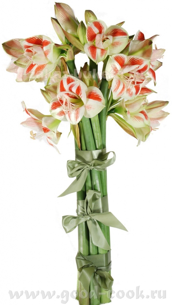    Альстромерии 9шт.        950 руб.