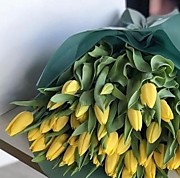         Тюльпаны                31 шт. 1650 руб.